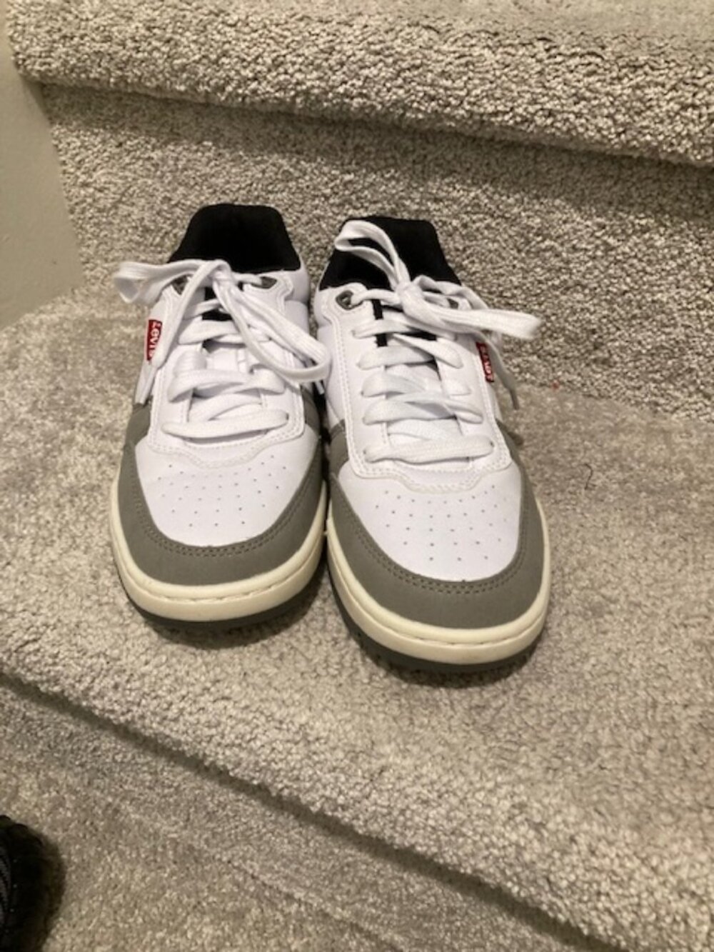 LEVIS low profile dunk